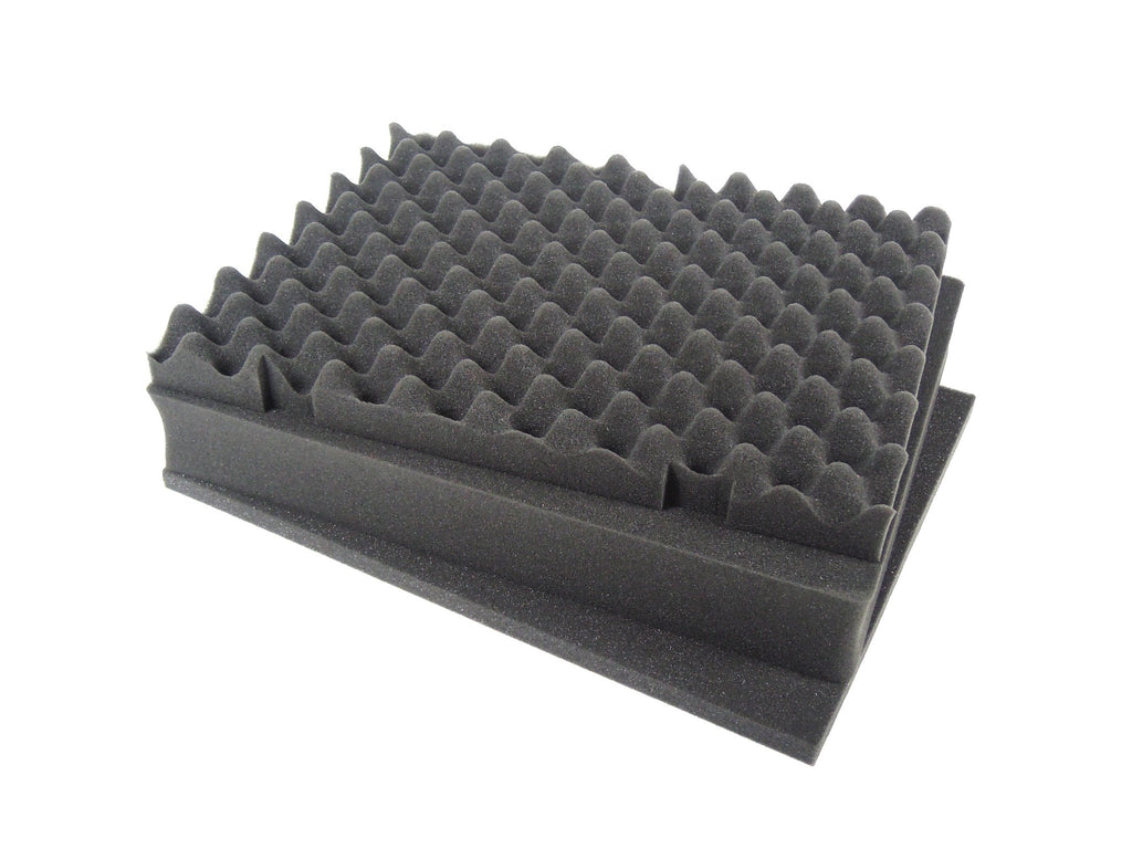 Elephant E220 Case with Foam for Camera, Video, Guns, Test and Metering Equipment Waterproof Hard Plastic Case