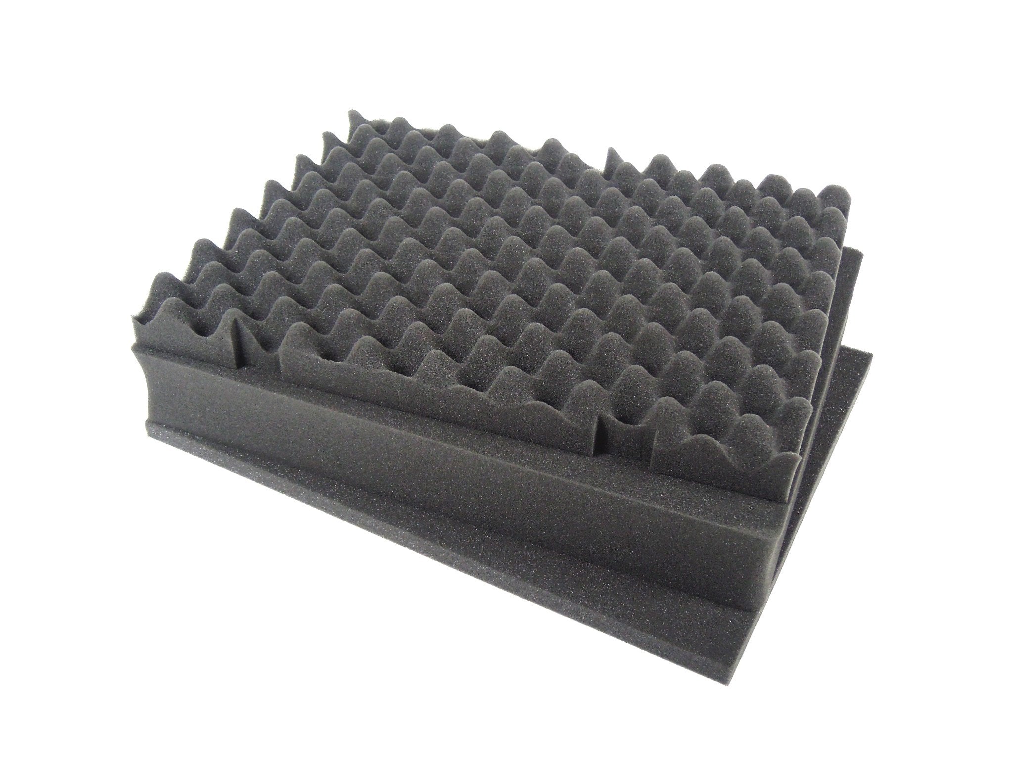 Elephant E220 Case with Foam for Camera, Video, Guns, Test and Metering Equipment Waterproof Hard Plastic Case